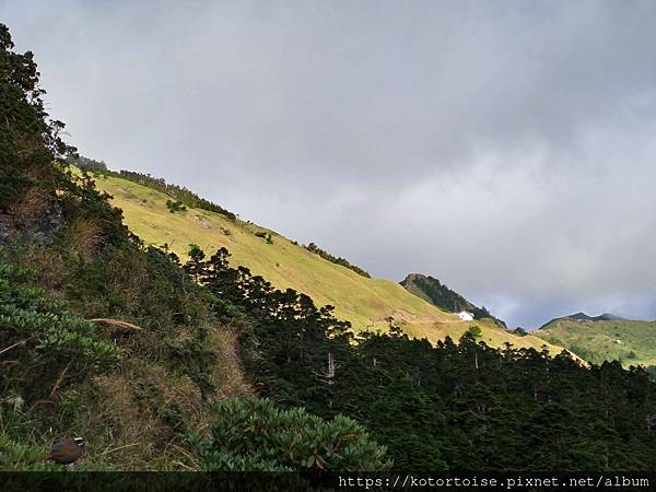 [台灣/南投花蓮] 2023.10 淒風苦雨的奇萊主北行 (