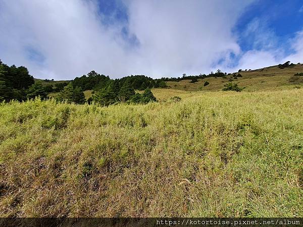 [台灣/南投花蓮] 2023.10 淒風苦雨的奇萊主北行 (