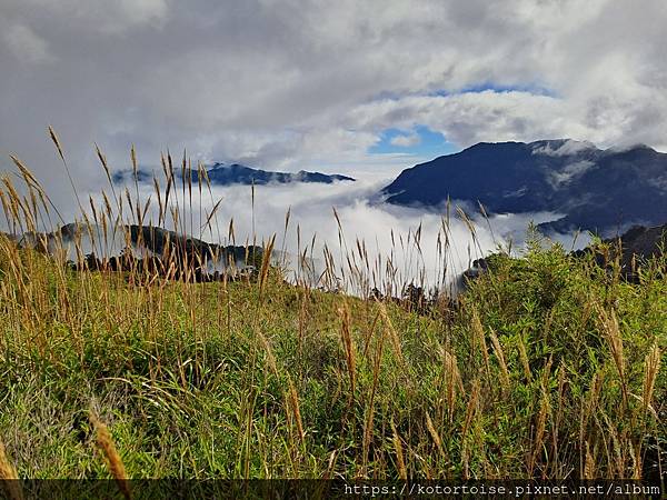[台灣/南投花蓮] 2023.10 淒風苦雨的奇萊主北行 (