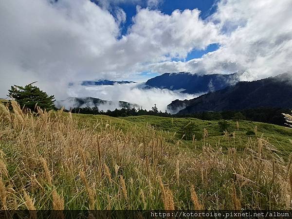 [台灣/南投花蓮] 2023.10 淒風苦雨的奇萊主北行 (