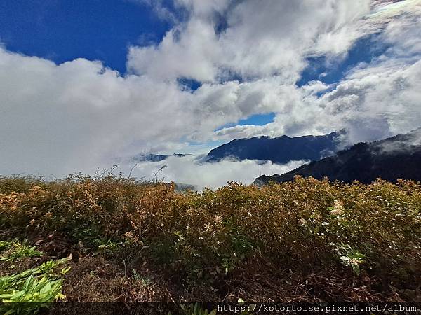 [台灣/南投花蓮] 2023.10 淒風苦雨的奇萊主北行 (
