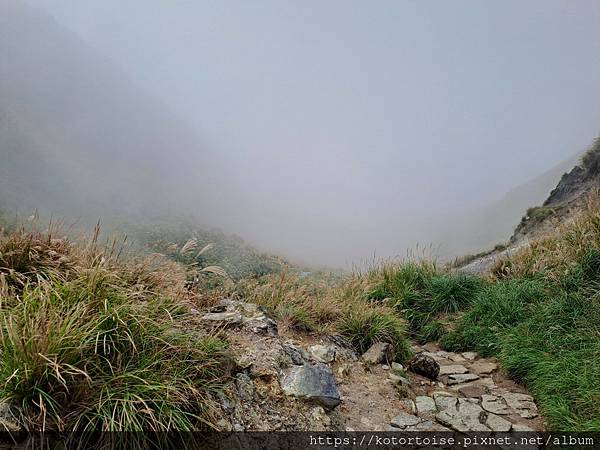 [台灣/台北] 2023.11 陽明山大縱走東段: 風櫃嘴至