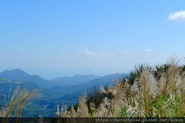 [台灣/台北] 2023.11 陽明山大縱走東段: 風櫃嘴至