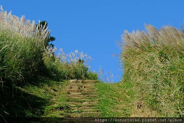 [台灣/台北] 2023.11 陽明山大縱走東段: 風櫃嘴至