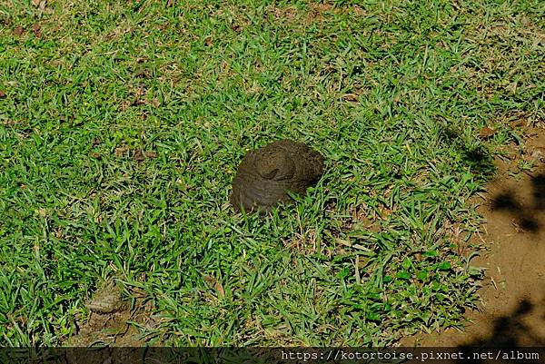 [台灣/台北] 2023.11 陽明山大縱走東段: 風櫃嘴至
