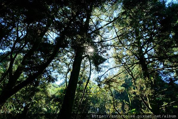 [台灣/台北] 2023.11 陽明山大縱走東段: 風櫃嘴至