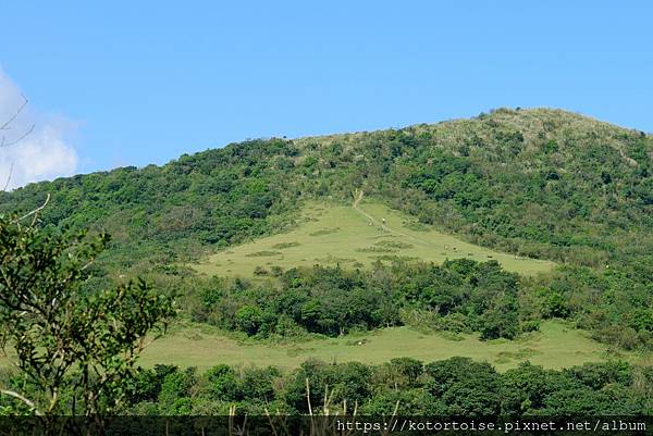 [台灣/台北] 2023.11 陽明山大縱走東段: 風櫃嘴至