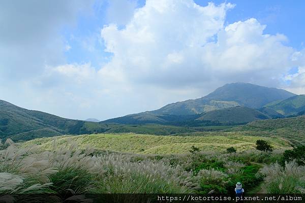 [台灣/台北] 2023.11 陽明山大縱走東段: 風櫃嘴至