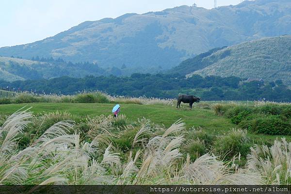 [台灣/台北] 2023.11 陽明山大縱走東段: 風櫃嘴至