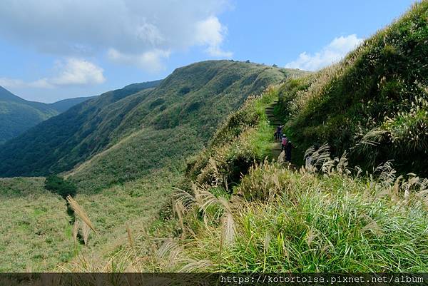 [台灣/台北] 2023.11 陽明山大縱走東段: 風櫃嘴至