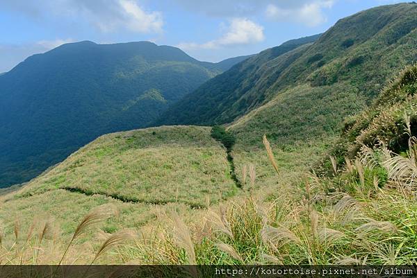 [台灣/台北] 2023.11 陽明山大縱走東段: 風櫃嘴至