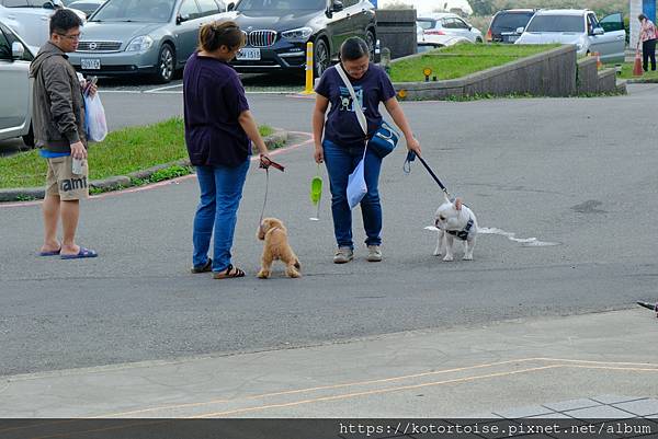 [台灣/台北] 2023.11 陽明山大縱走東段: 風櫃嘴至