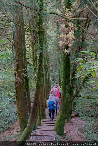 [台灣/台北] 2023.11 陽明山大縱走東段: 風櫃嘴至