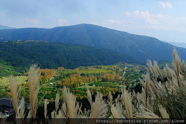 [台灣/台北] 2023.11 陽明山大縱走東段: 風櫃嘴至