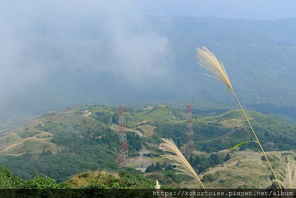 [台灣/台北] 2023.11 陽明山大縱走東段: 風櫃嘴至