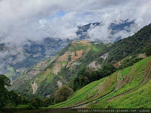 [台灣/南投] 2023.11 雲海日出黃金大草原: 奇萊南