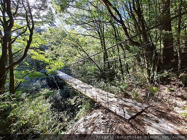 [台灣/南投] 2023.11 雲海日出黃金大草原: 奇萊南