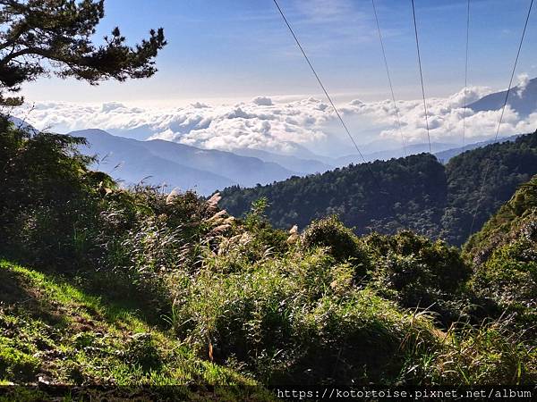 [台灣/南投] 2023.11 雲海日出黃金大草原: 奇萊南