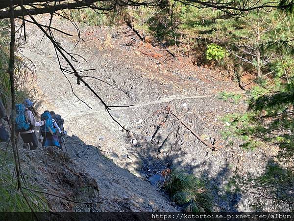 [台灣/南投] 2023.11 雲海日出黃金大草原: 奇萊南