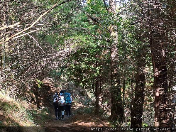 [台灣/南投] 2023.11 雲海日出黃金大草原: 奇萊南