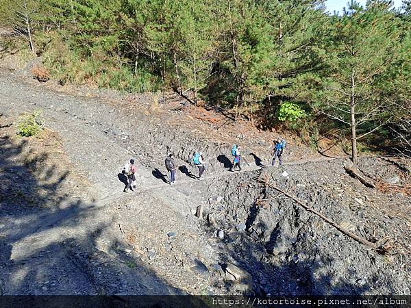 [台灣/南投] 2023.11 雲海日出黃金大草原: 奇萊南
