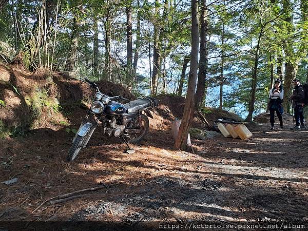 [台灣/南投] 2023.11 雲海日出黃金大草原: 奇萊南