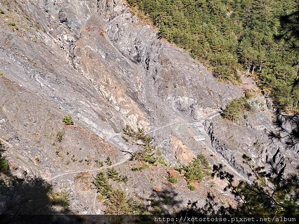 [台灣/南投] 2023.11 雲海日出黃金大草原: 奇萊南