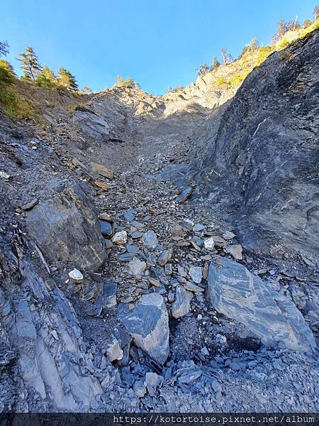 [台灣/南投] 2023.11 雲海日出黃金大草原: 奇萊南