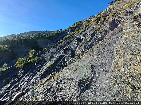 [台灣/南投] 2023.11 雲海日出黃金大草原: 奇萊南