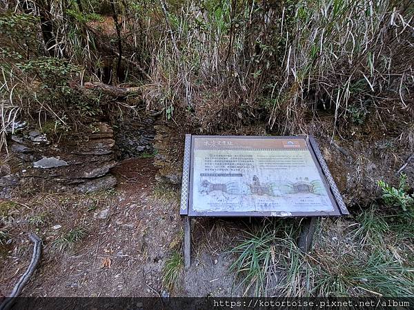 [台灣/南投] 2023.11 雲海日出黃金大草原: 奇萊南