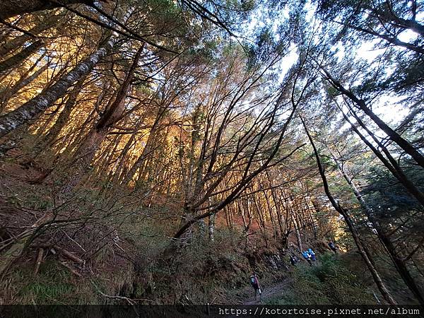 [台灣/南投] 2023.11 雲海日出黃金大草原: 奇萊南