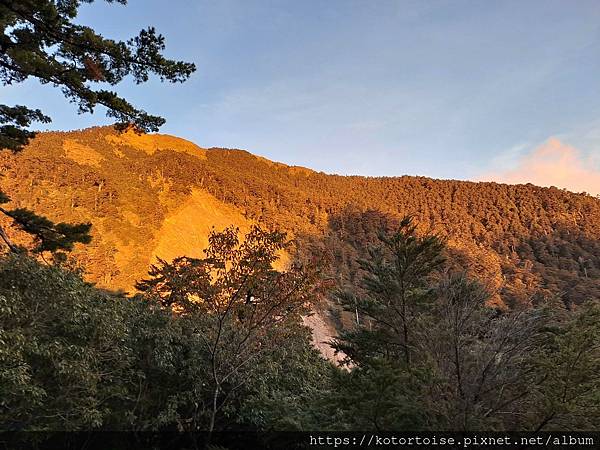 [台灣/南投] 2023.11 雲海日出黃金大草原: 奇萊南