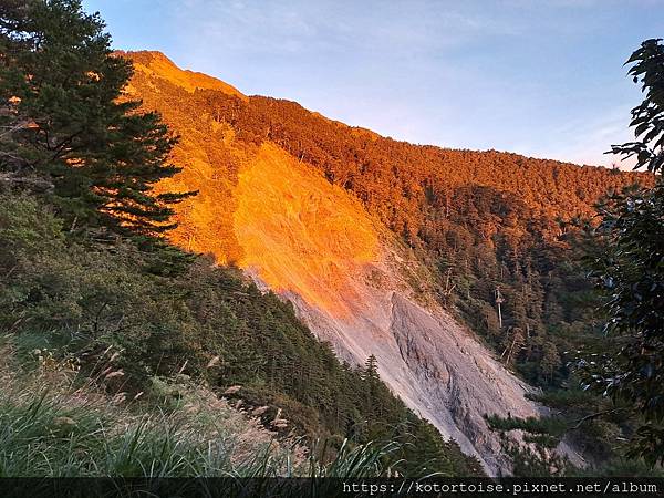 [台灣/南投] 2023.11 雲海日出黃金大草原: 奇萊南