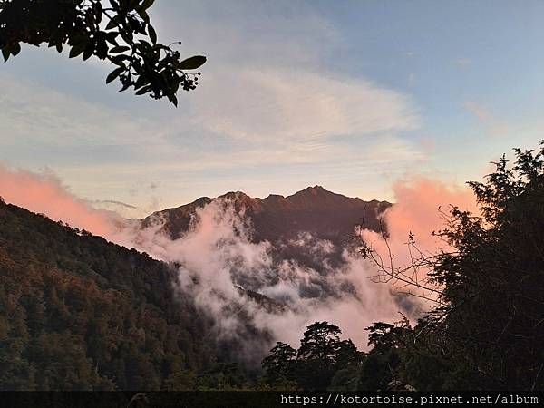 [台灣/南投] 2023.11 雲海日出黃金大草原: 奇萊南