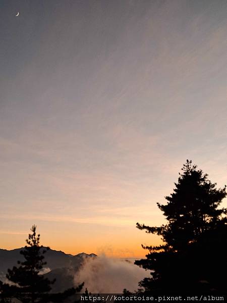 [台灣/南投] 2023.11 雲海日出黃金大草原: 奇萊南