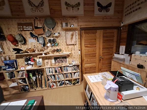 [台灣/南投] 2023.11 雲海日出黃金大草原: 奇萊南