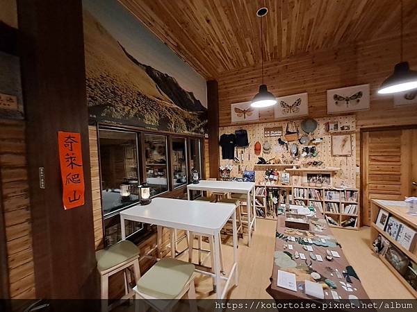 [台灣/南投] 2023.11 雲海日出黃金大草原: 奇萊南