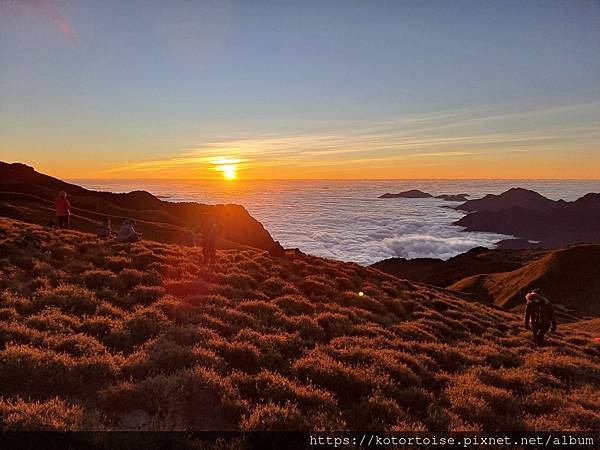 [台灣/南投] 2023.11 雲海日出黃金大草原: 奇萊南