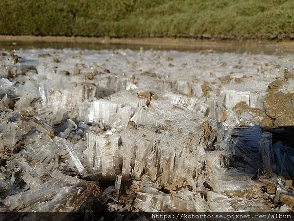 [台灣/南投] 2023.11 雲海日出黃金大草原: 奇萊南