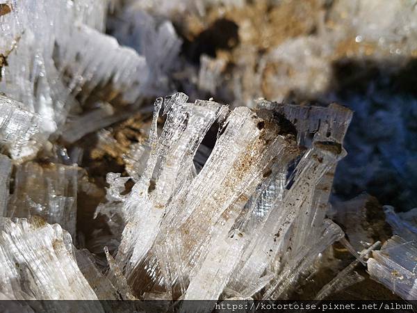 [台灣/南投] 2023.11 雲海日出黃金大草原: 奇萊南