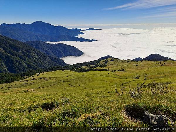 [台灣/南投] 2023.11 雲海日出黃金大草原: 奇萊南