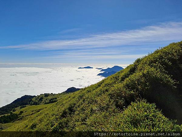 [台灣/南投] 2023.11 雲海日出黃金大草原: 奇萊南