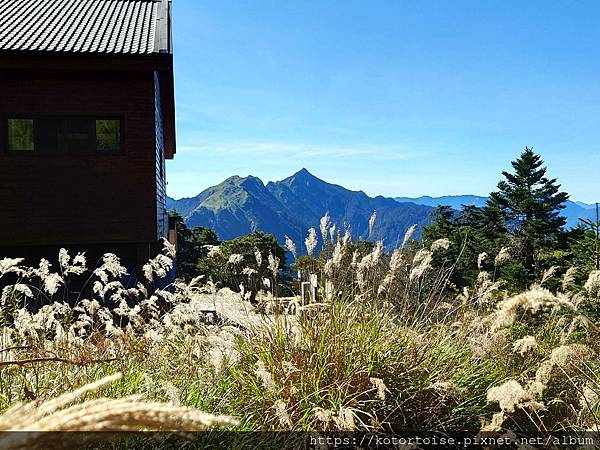 [台灣/南投] 2023.11 雲海日出黃金大草原: 奇萊南