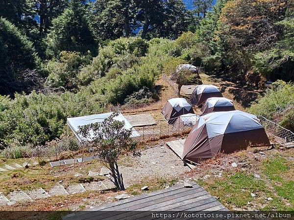 [台灣/南投] 2023.11 雲海日出黃金大草原: 奇萊南