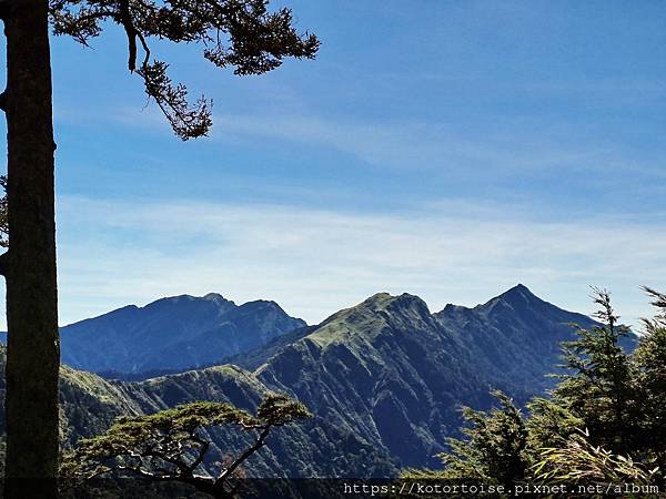 [台灣/南投] 2023.11 雲海日出黃金大草原: 奇萊南