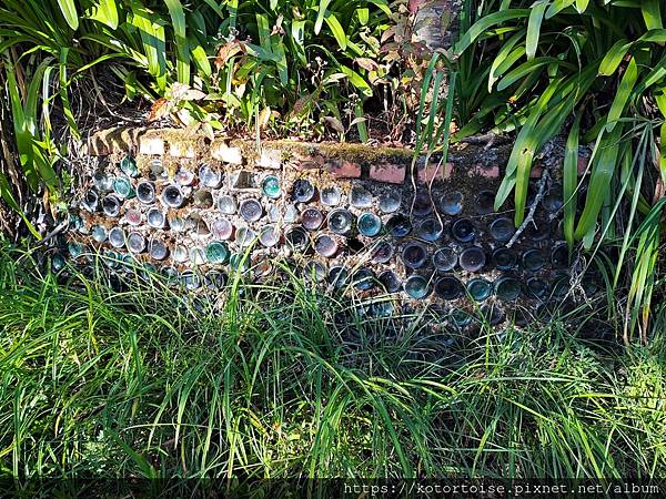 [台灣/南投] 2023.11 雲海日出黃金大草原: 奇萊南