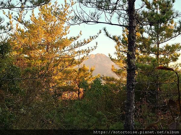 [台灣/南投] 2023.11 雲海日出黃金大草原: 奇萊南