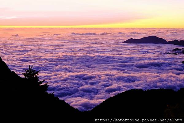 [台灣/南投] 2023.11 雲海日出黃金大草原: 奇萊南