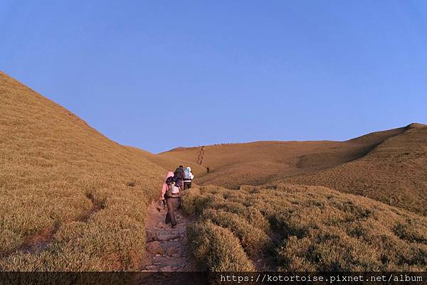 [台灣/南投] 2023.11 雲海日出黃金大草原: 奇萊南