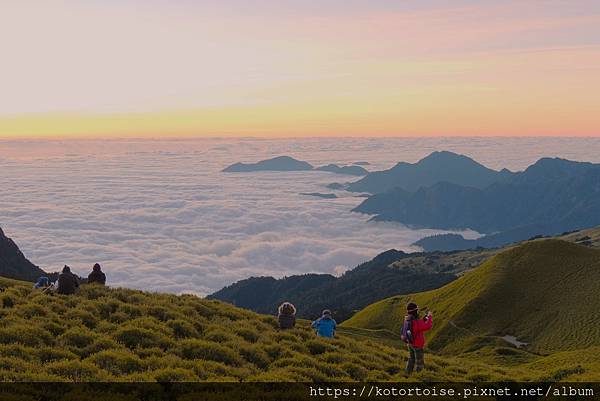[台灣/南投] 2023.11 雲海日出黃金大草原: 奇萊南